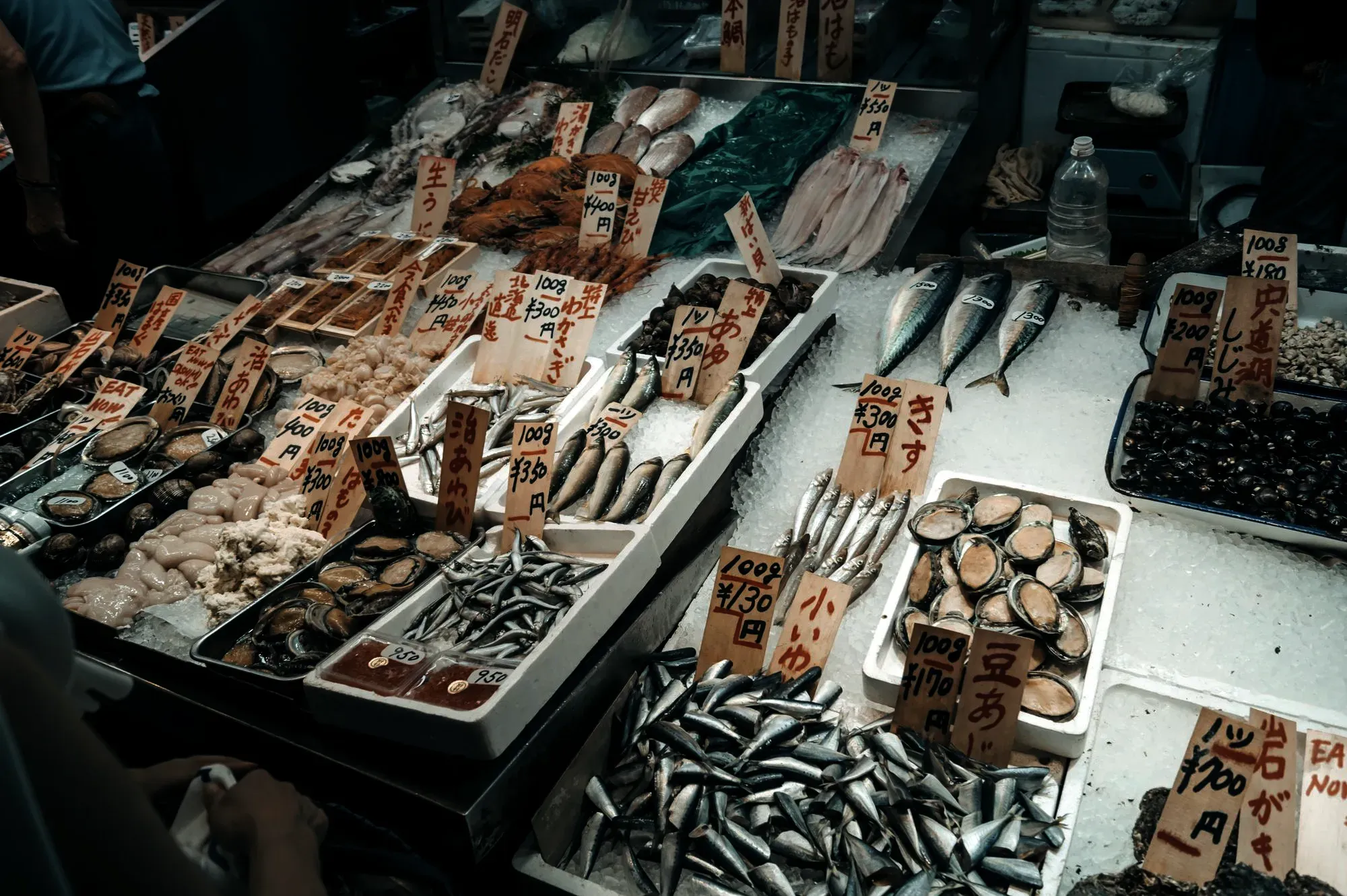 魚市場に並ぶ魚