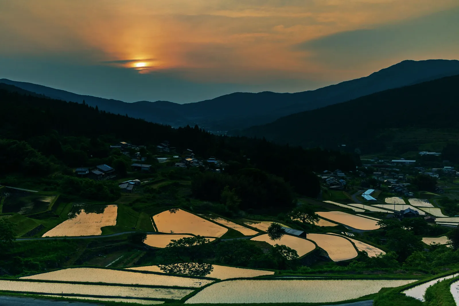 夕暮れの棚田